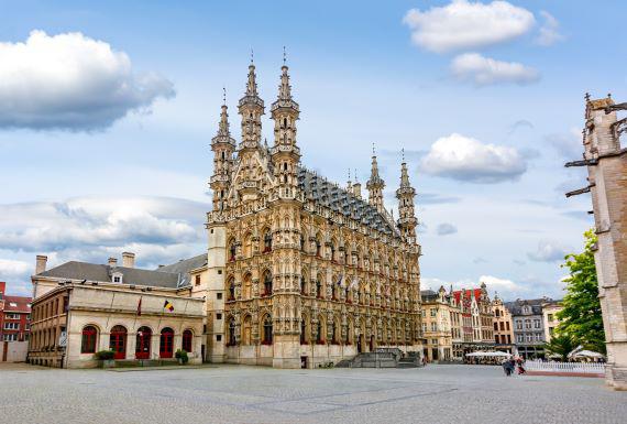 ongediertebestrijding-leuven