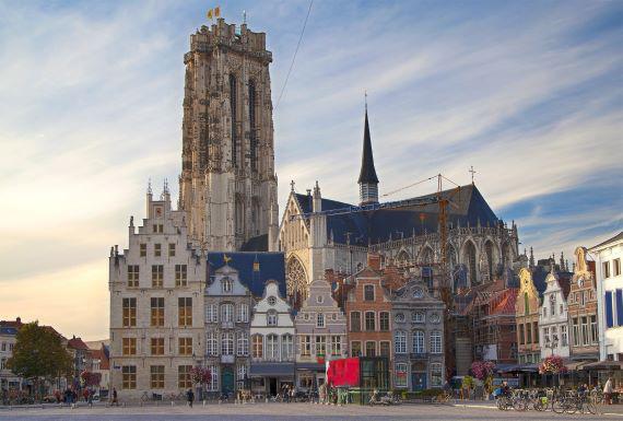 ongediertebestrijding-mechelen