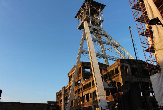 ongediertebestrijding-genk